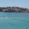 Bondi Beach